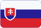 Paletizace Slovensky